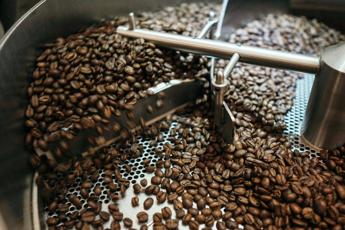 Coffee beans tumbling through a roasting drum