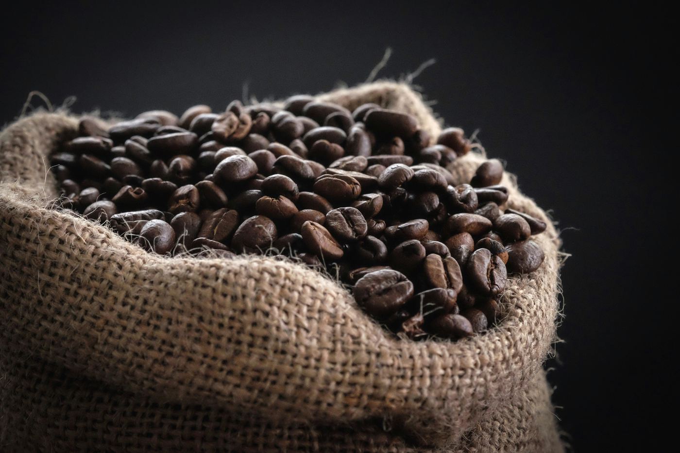 Roasted coffee beans in a burlap export sack