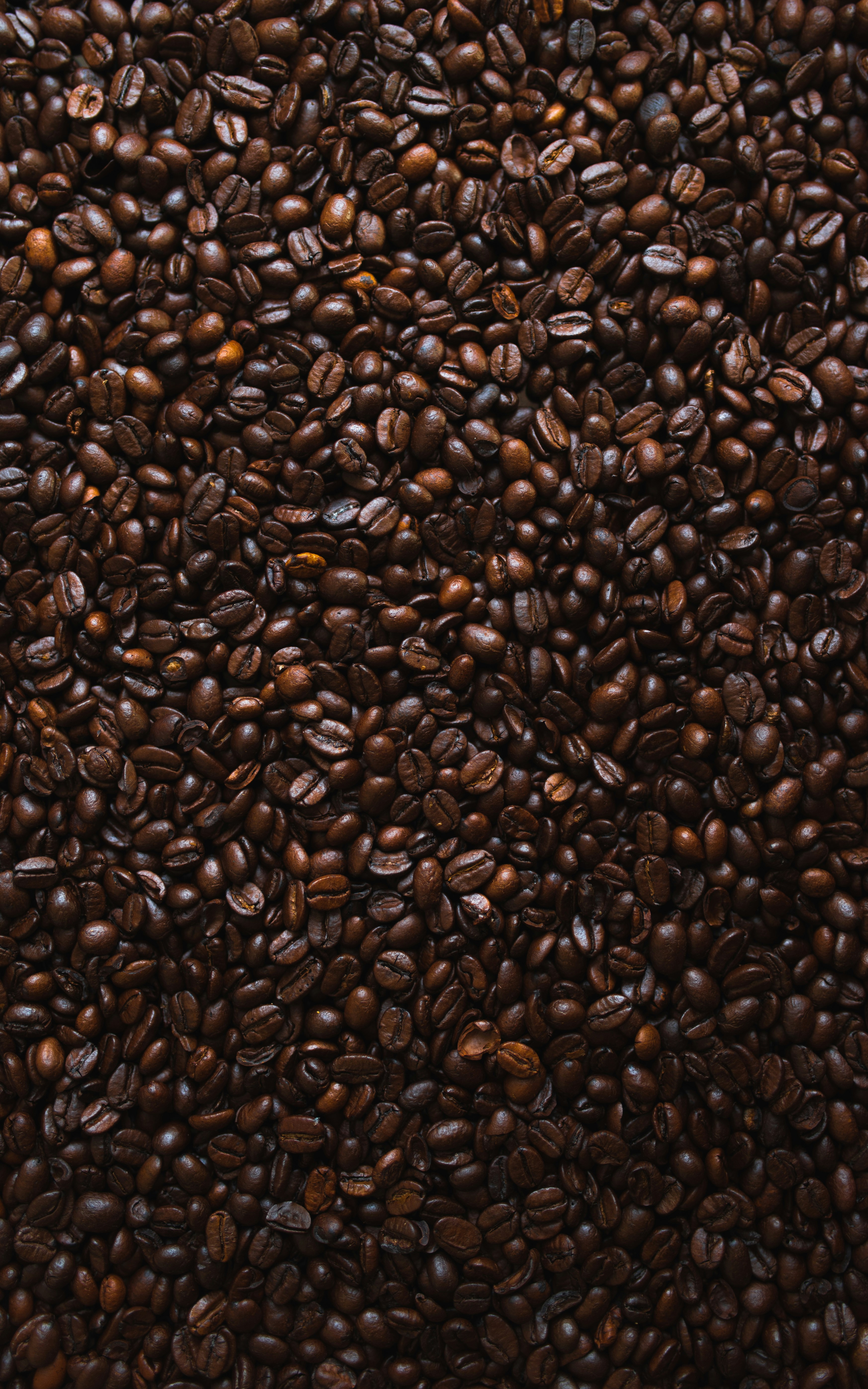 Dark Roast