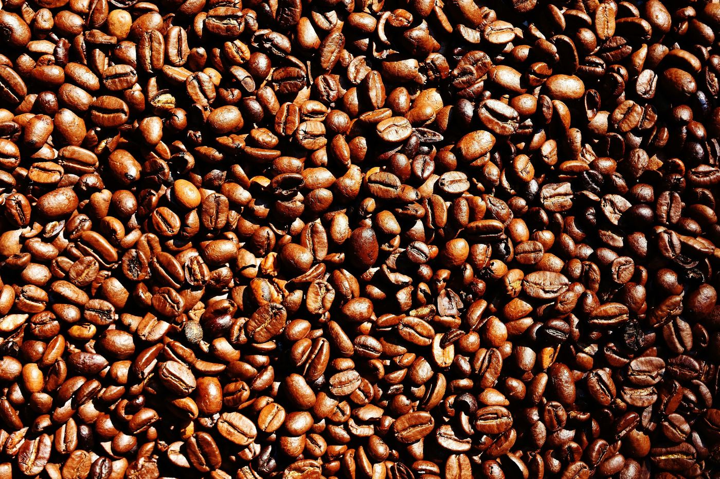 Sunlit close-up of roasted coffee beans